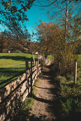 Fototapeta premium path