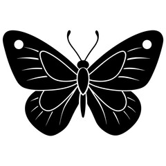 butterfly vector illustration