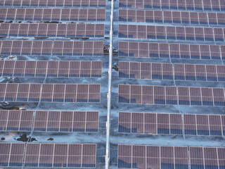 Solar photovoltaic panels on the water
