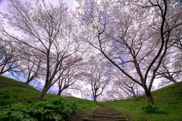 大和町八谷緑地公園