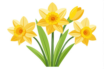 Illustration of daffodils featuring yellow blossoms and green foliage in simple style