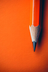 A row of classic yellow pencils against a turquoise background, symbolizing creativity and order.