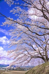 大和町八谷緑地公園