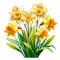 Delicate Bouquet of Yellow Daffodils with Vibrant Green Leaves Illustration
