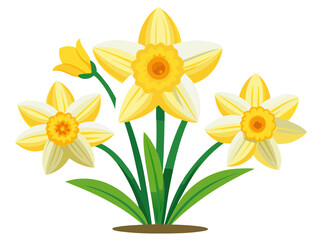 Illustrative depiction of daffodils in full bloom showcasing spring's vibrant colors