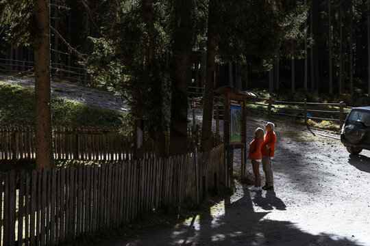 Couple reads trail map at forest entrance near wooden fence