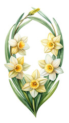 Watercolor Narcissus Floral Wreath with Bud, Elegant Spring Flowers Illustration Isolated