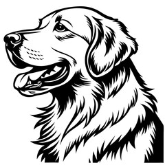 Detailed Illustration of a Golden Retriever Portrait for Creative Design Projects