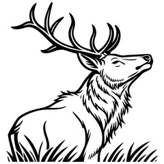 Obraz premium Majestic Stag with Antlers in Serenity Ideal for Tattoo Designs and Nature Art