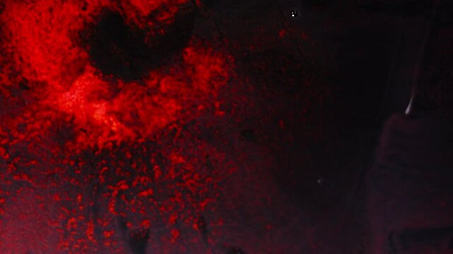 Dark red fluid dispersing in black liquid, macro shot of chemical reaction or ink mix