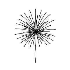 Fototapeta premium Elegant Fireworks Burst Graphic Ideal for Celebration Invitations and Decorative Projects