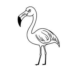 Obraz premium Elegant Flamingo Line Art for Coloring Books and Tattoo Designs