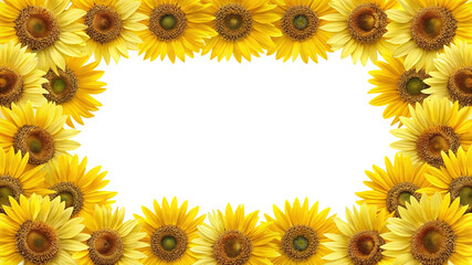 Cheerful sunflower frame with bright yellow petals and white space inside
