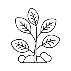 herb plant icon, herb plant line art - simple line art of herb plant, perfect for herb plant logos and icons