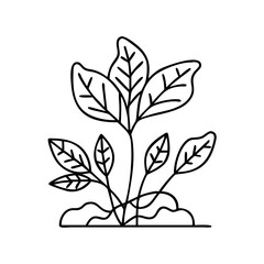 herb plant icon, herb plant line art - simple line art of herb plant, perfect for herb plant logos and icons