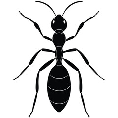 Silhouette of an ant isolated on a white background