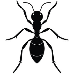 Silhouette of an ant isolated on a white background