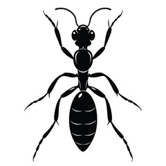 Silhouette of an ant isolated on a white background