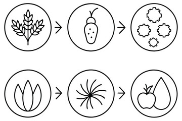 Crop rotation line art sustainable farming practice techniques