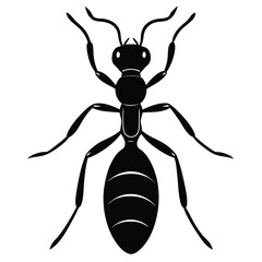 Silhouette of an ant isolated on a white background