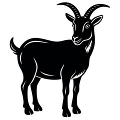 Obraz premium Goat eating grass strikers clean on white background 