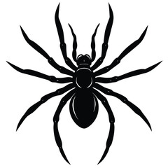 the spider silhouette vector illustration