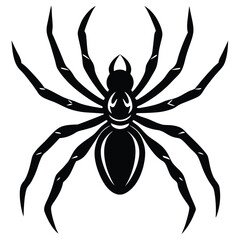 the spider silhouette vector illustration