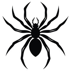 the spider silhouette vector illustration