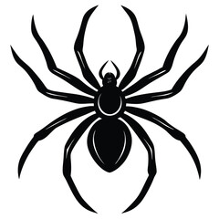 the spider silhouette vector illustration