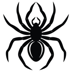 the spider silhouette vector illustration
