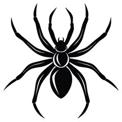the spider silhouette vector illustration