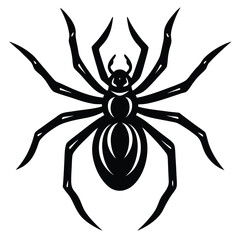 the spider silhouette vector illustration
