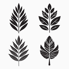 Obraz premium Minimalist leaf design