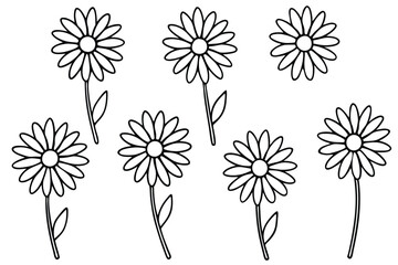 Dainty Daisy Line Art Soft Beauty in Nature