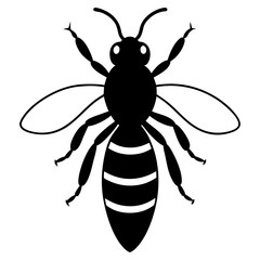 Fototapeta premium AI Generated Africanized Bee Vector Silhouette Isolate White Background