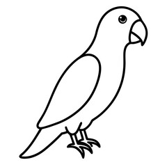 AI Generated African Grey Parrot Vector Silhouette Isolate White Background
