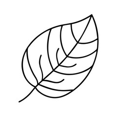 Simple Line Drawing of a Single Leaf with Detailed Veins and a Stem