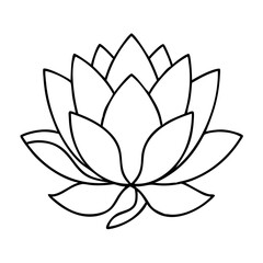 A Simple Line Drawing of a Beautiful Lotus Flower Blossom