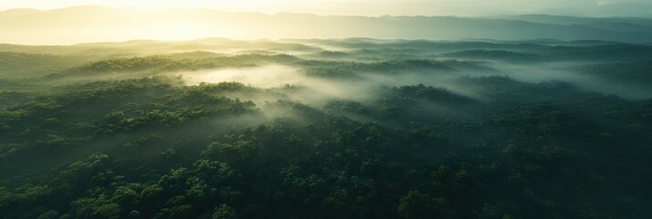 Fototapeta premium Aerial View of Misty Forest at Sunrise