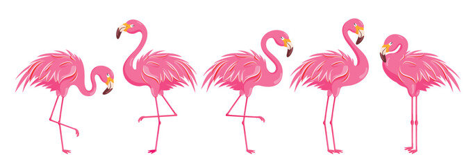 Flamingo pink drawing clipart set. Summer bird cute standing flamingo clip art collection tropical icon elements vector illustration. 
