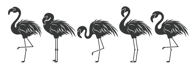Obraz premium Flamingo silhouette drawing clipart set. Summer bird flamingo clipart collection in black lines icon, symbol and logo graphic elements vector illustration. 
