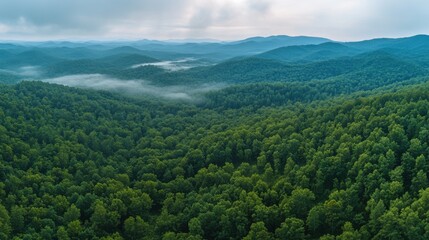 Obraz premium Aerial View of Verdant Mountain Range