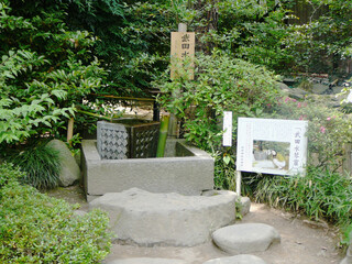 Fototapeta premium 日本：武田神社の水琴窟（水滴の音がリズミカルに地中に響く）【日本100名城】山梨県甲府市