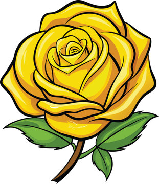 Hand-drawn yellow rose vector illustration