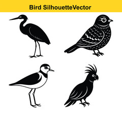  Cute vector illustration set of wild birds like robin and bullfinch on a branch, a lovely spring design.