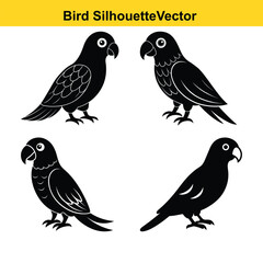  Cute vector illustration set of wild birds like robin and bullfinch on a branch, a lovely spring design.