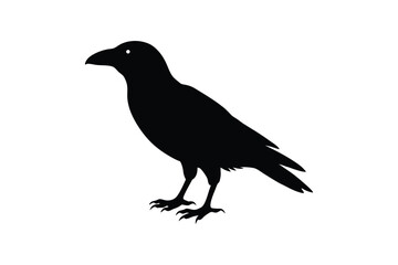Silhouette art design of a crow standing on the ground.eps
