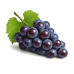 Fototapeta premium grapes isolated on white background