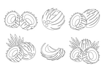 Coconut continuous one line drawing icon set. Editable stroke. Outline coconut fruit collections isolated on a white background. Vector illustration