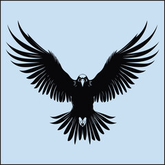 Obraz premium Silhouette of an Eagle, Flight